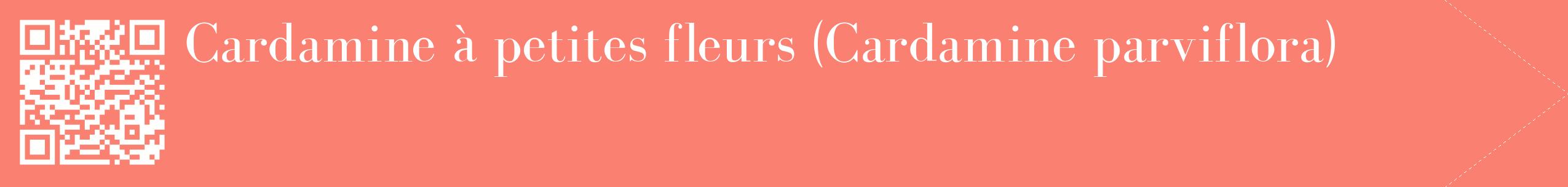 étiquette 2