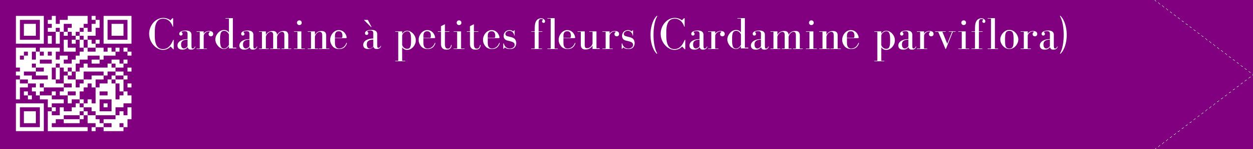 étiquette 2
