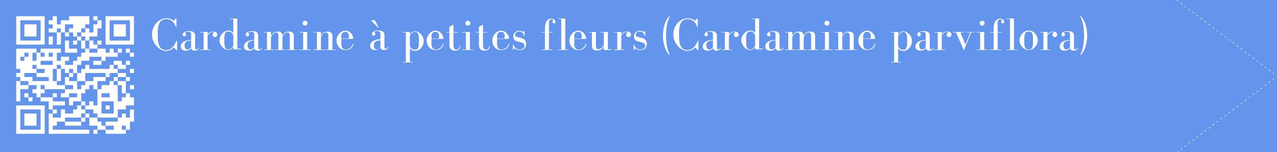 étiquette 2