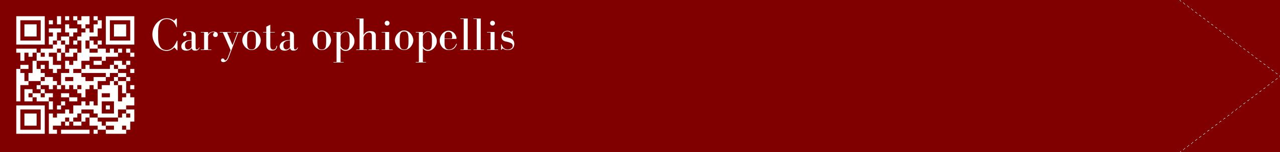 étiquette 2