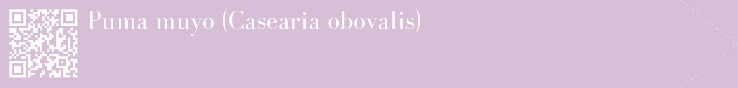 étiquette 2
