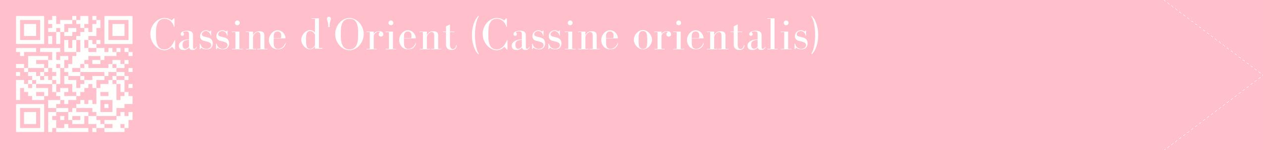 étiquette 2