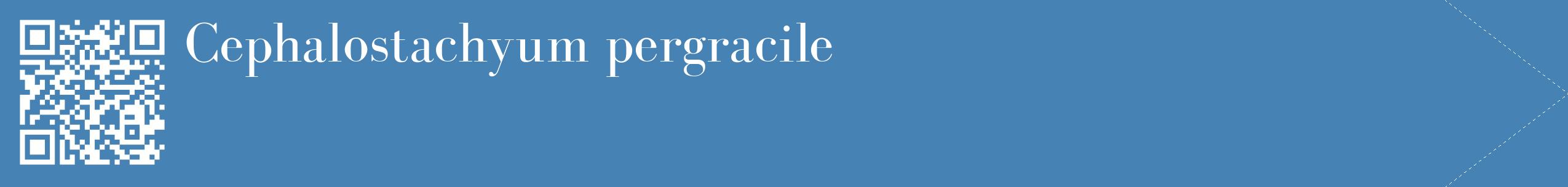 étiquette 2