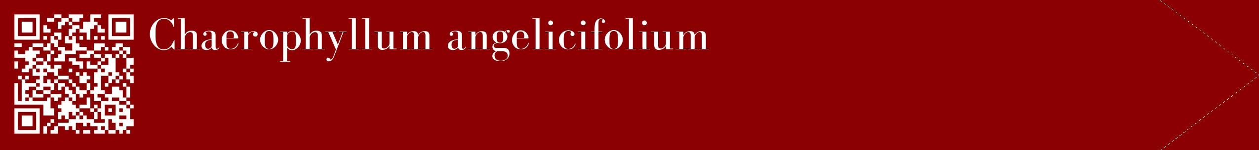 étiquette 2