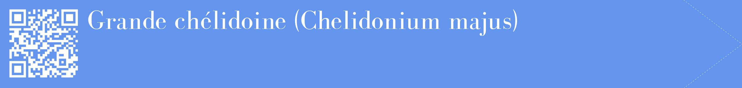 étiquette 2