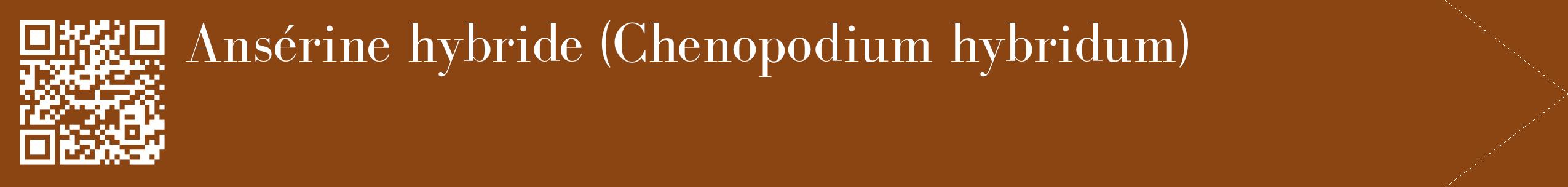 étiquette 2