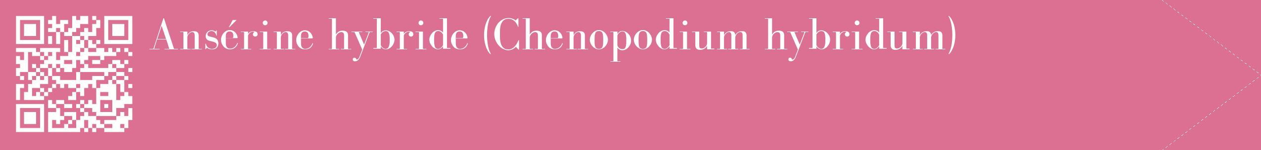 étiquette 2