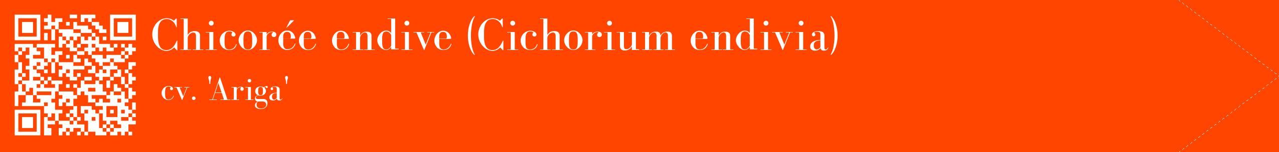 étiquette 2