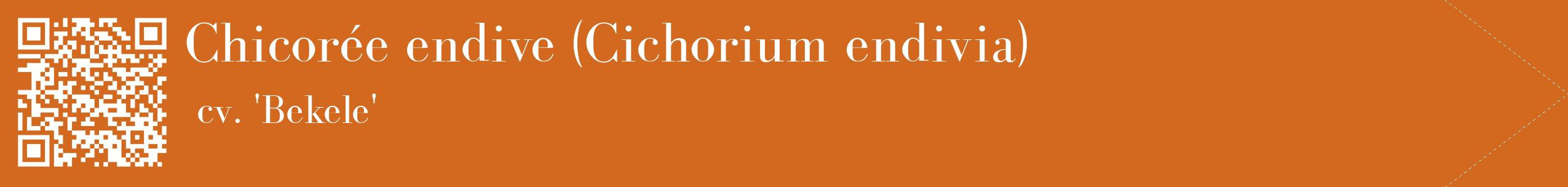 étiquette 2