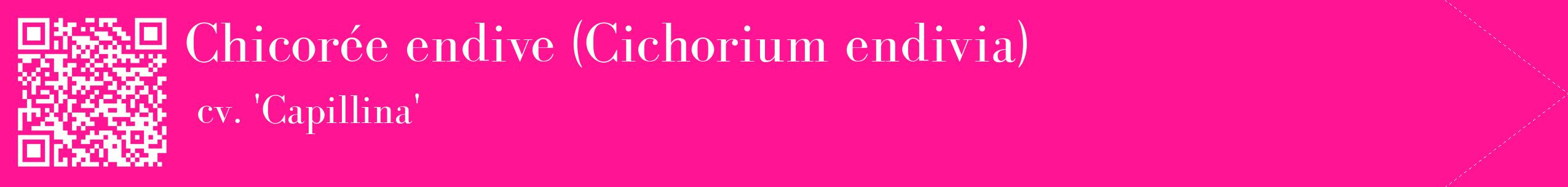 étiquette 2