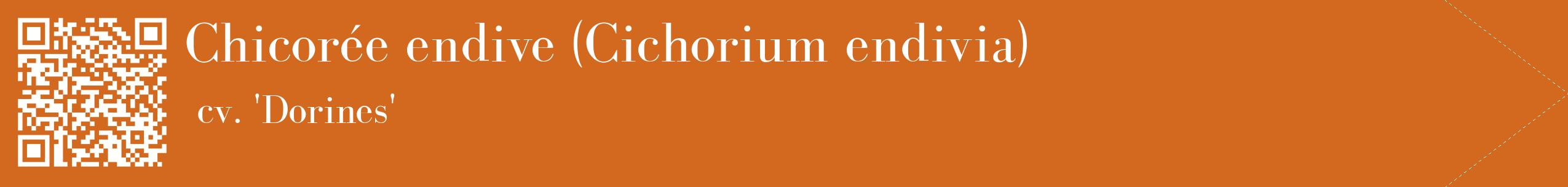 étiquette 2