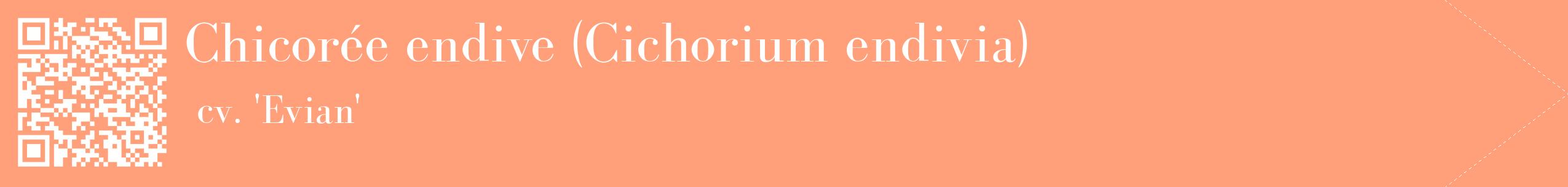 étiquette 2