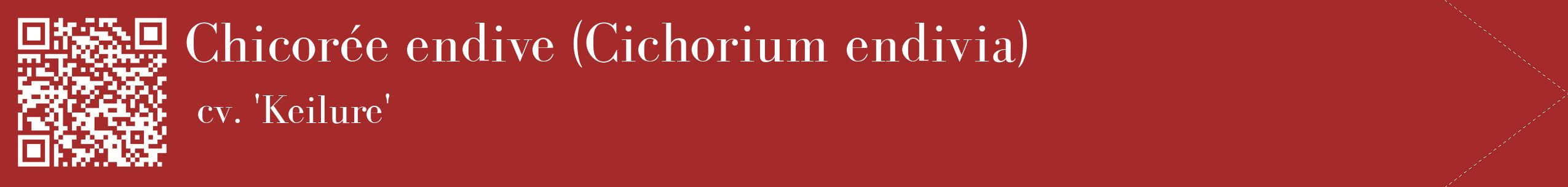 étiquette 2