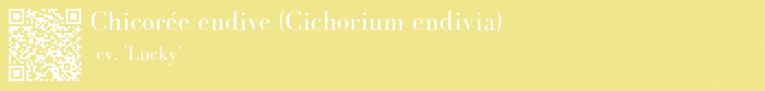 étiquette 2