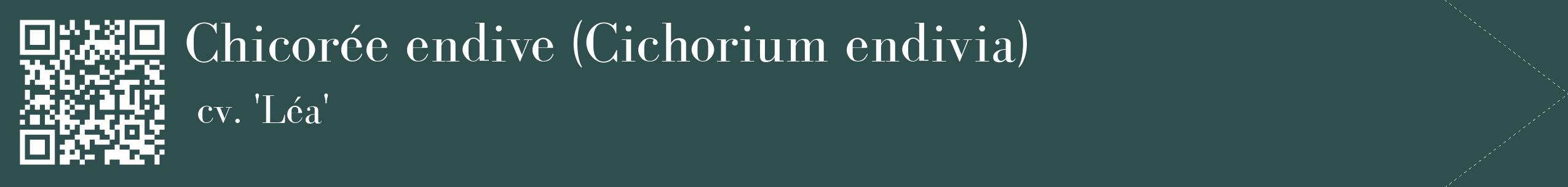 étiquette 2
