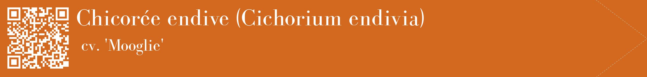 étiquette 2
