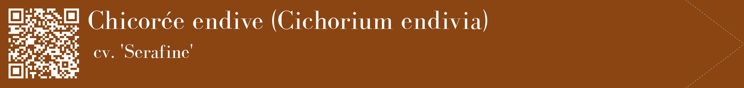 étiquette 2