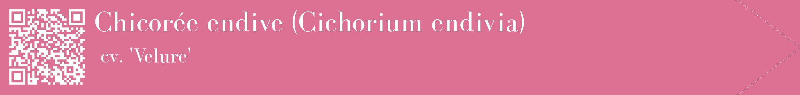 étiquette 2