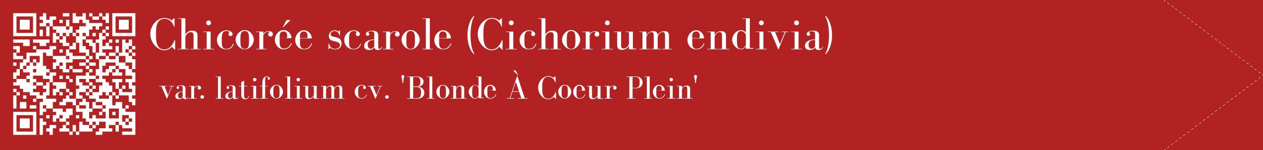 étiquette 2
