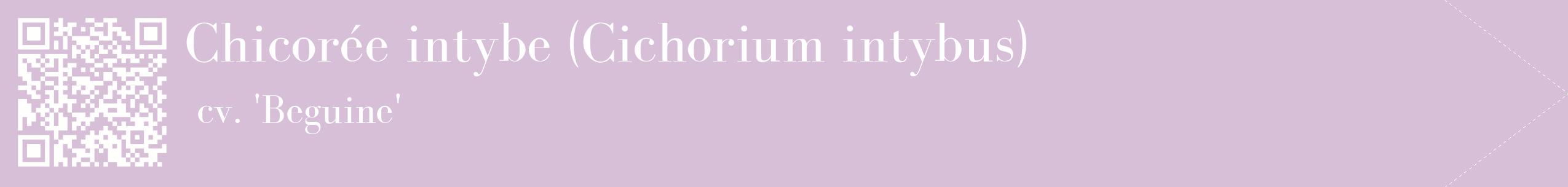 étiquette 2