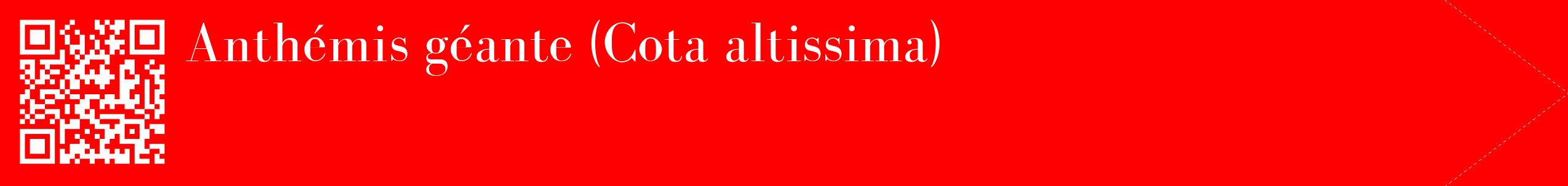 étiquette 2