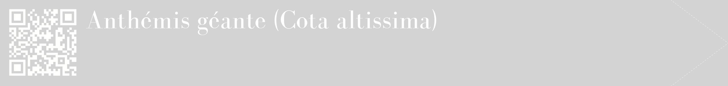 étiquette 2