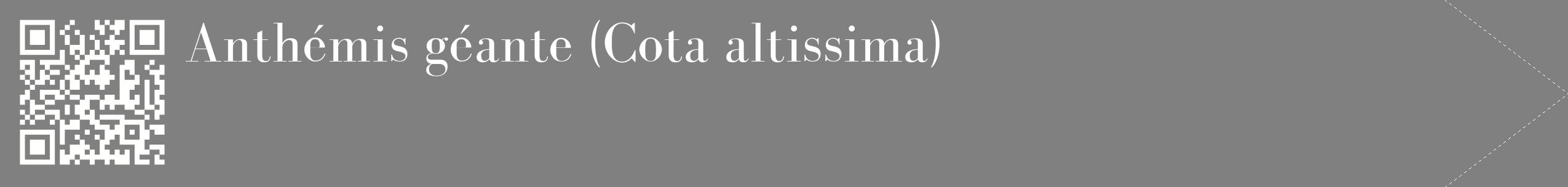 étiquette 2