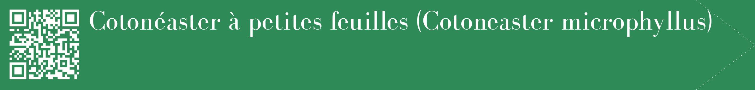 étiquette 2