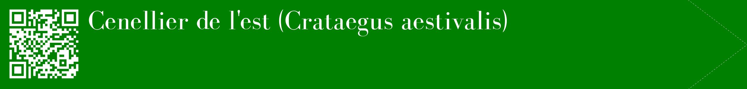 étiquette 2