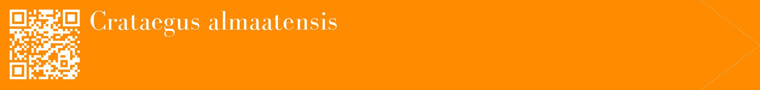 étiquette 2