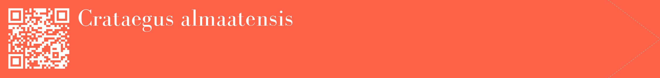 étiquette 2