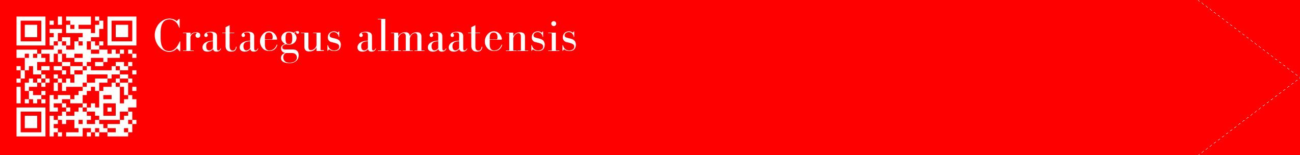 étiquette 2