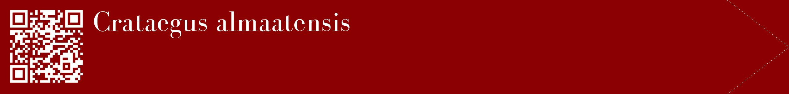 étiquette 2