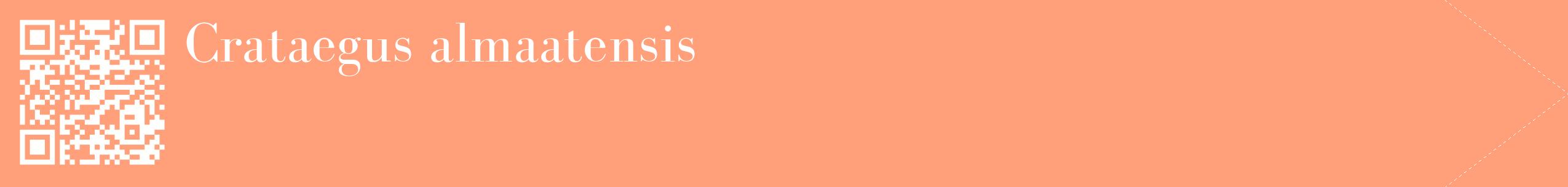 étiquette 2