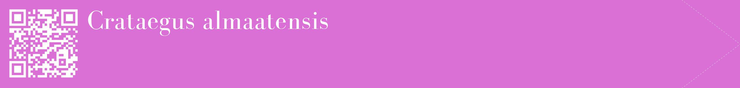 étiquette 2