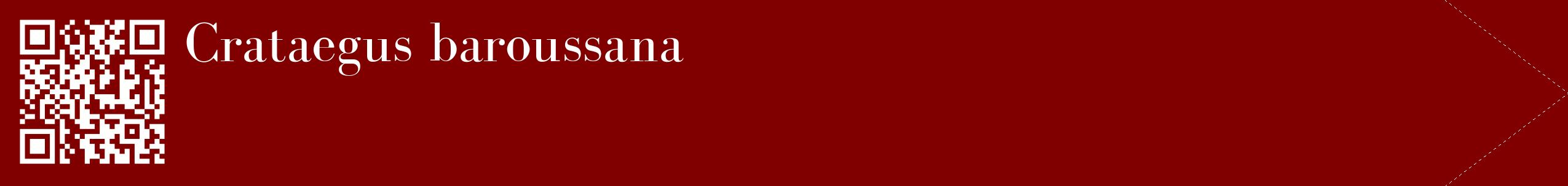 étiquette 2