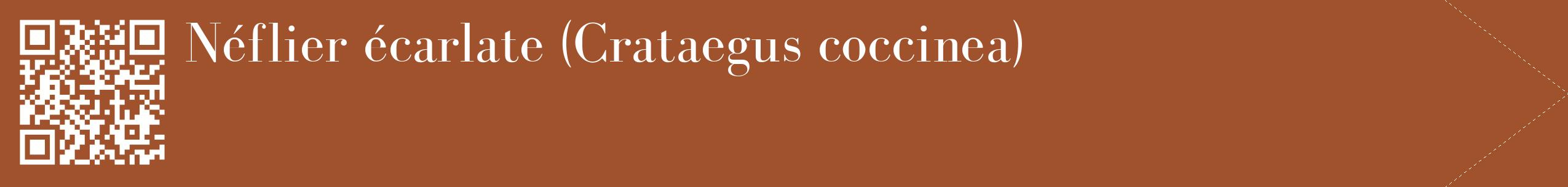 étiquette 2
