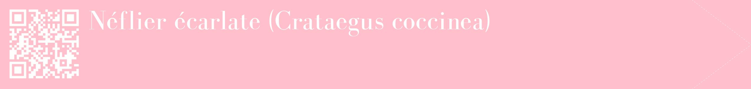 étiquette 2