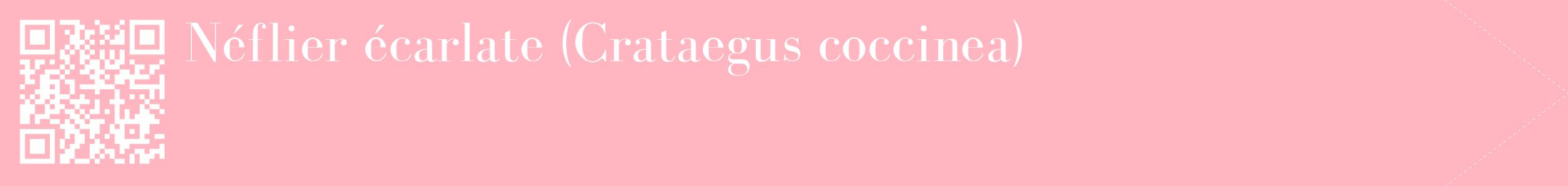 étiquette 2