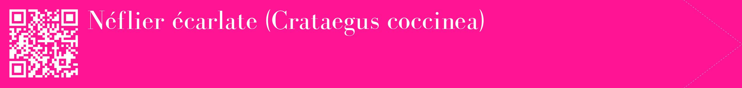 étiquette 2