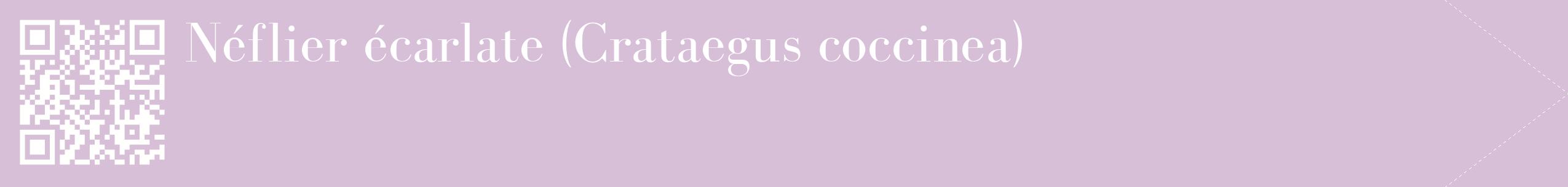 étiquette 2