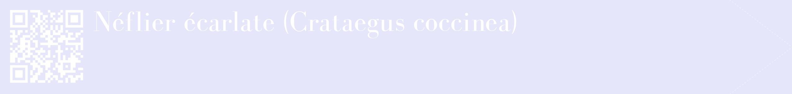 étiquette 2
