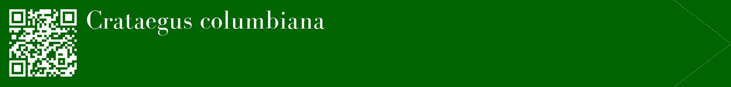 étiquette 2