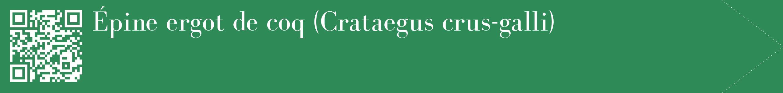 étiquette 2