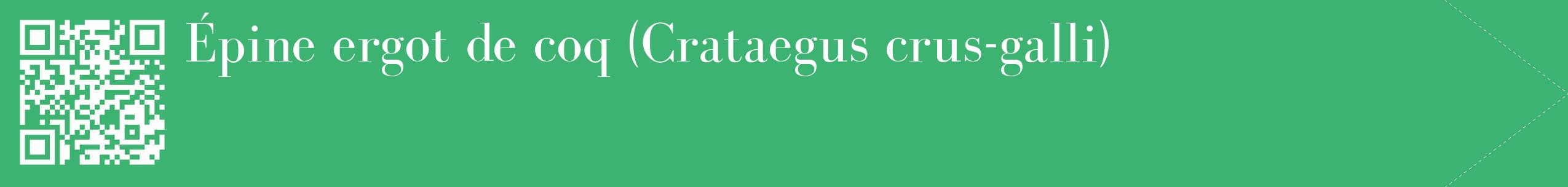 étiquette 2