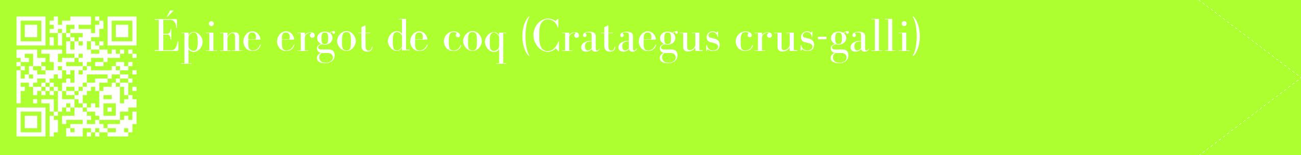 étiquette 2