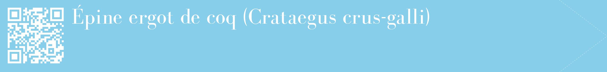 étiquette 2