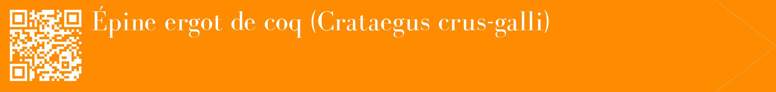 étiquette 2