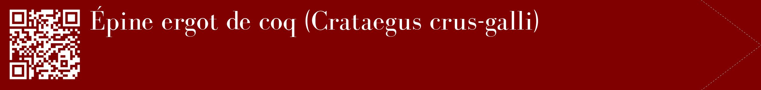 étiquette 2