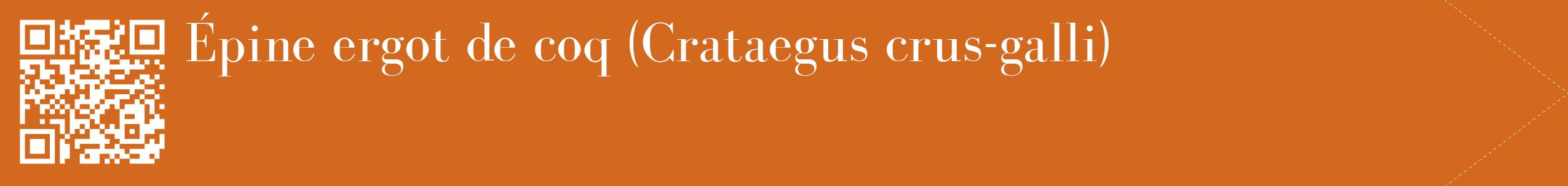 étiquette 2